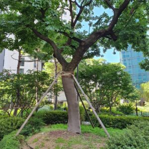 사진17